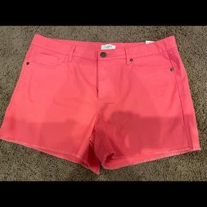 Hot Pink Brand New Loft Outlet Shorts